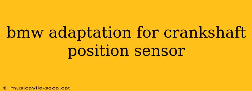 bmw adaptation for crankshaft position sensor