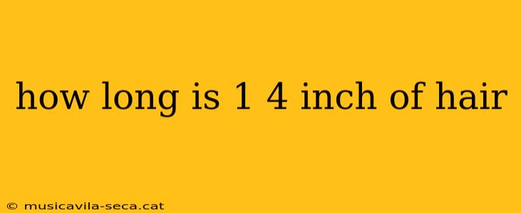 how long is 1 4 inch of hair