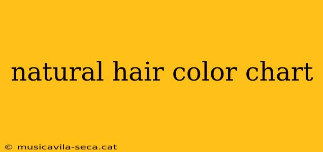 natural hair color chart